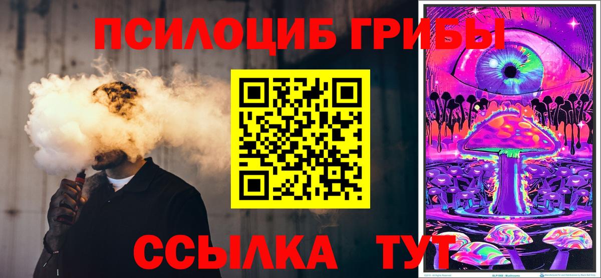 Псилоцибиновые грибы MAGIC MUSHROOMS  Вход с VPN  Сертолово 